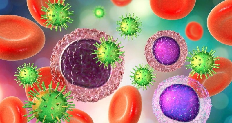 Імунітет: той, що здатен до всього пристосуватися і від усього захистити