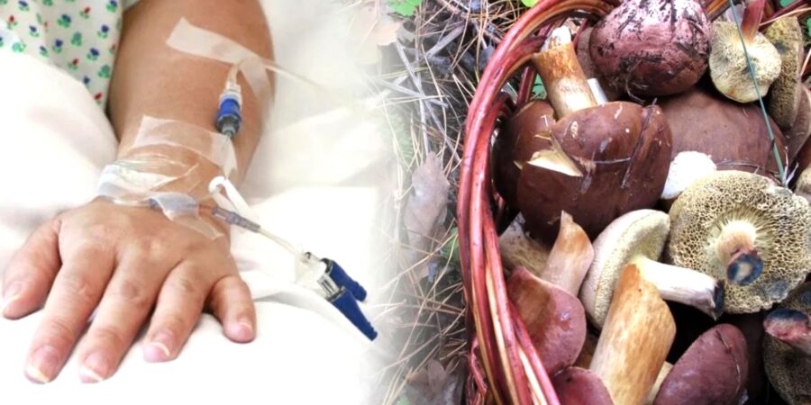 Не впевнений – не бери!