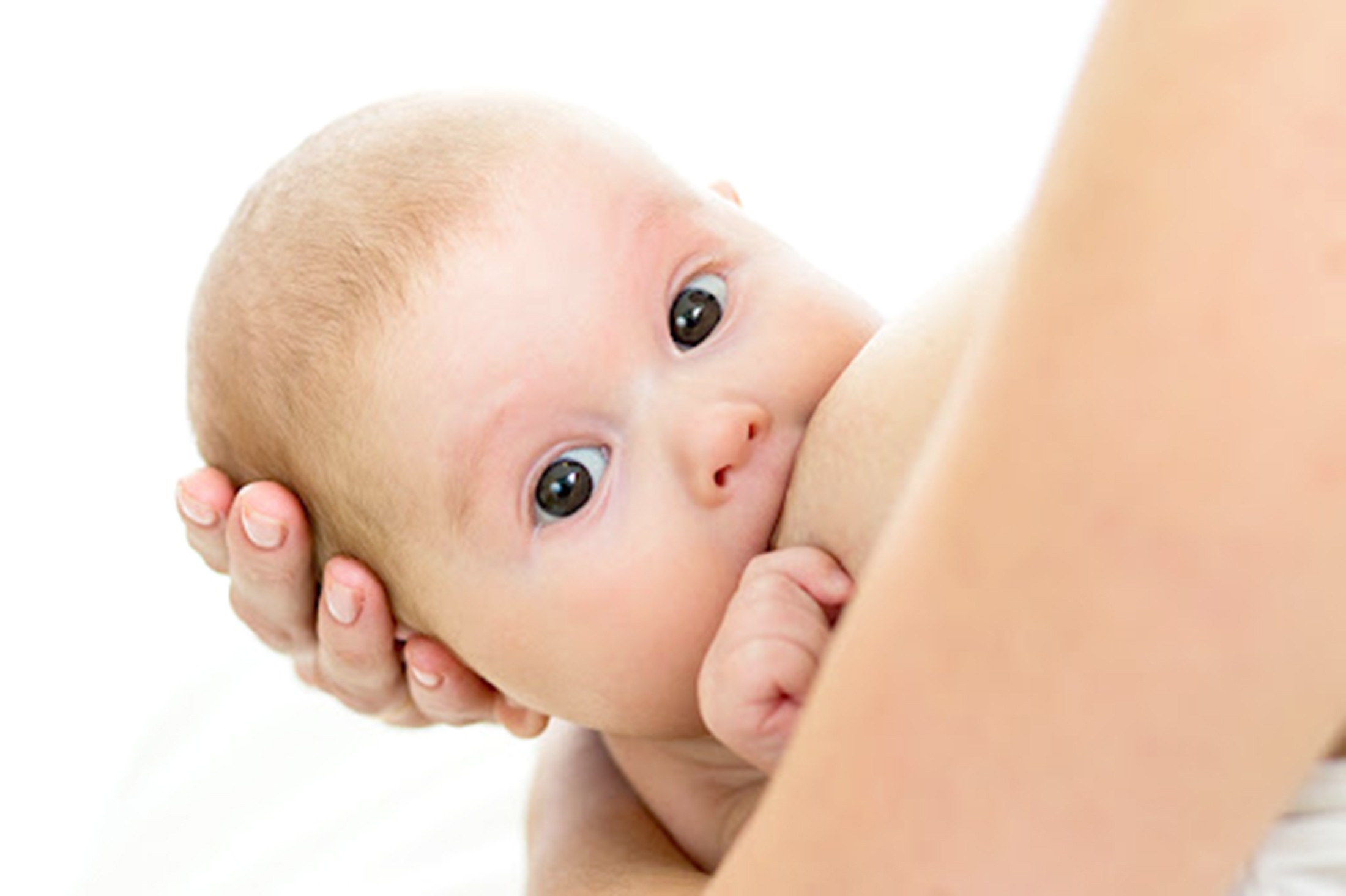 Материнське молоко – ідеальна їжа для малюка (частина 1)