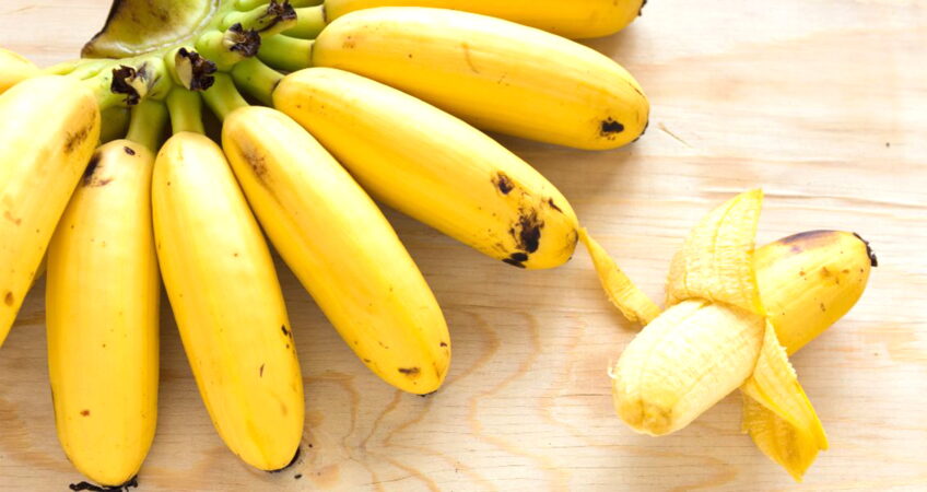 Банани в раціоні дорослої людини: «за» і проти»