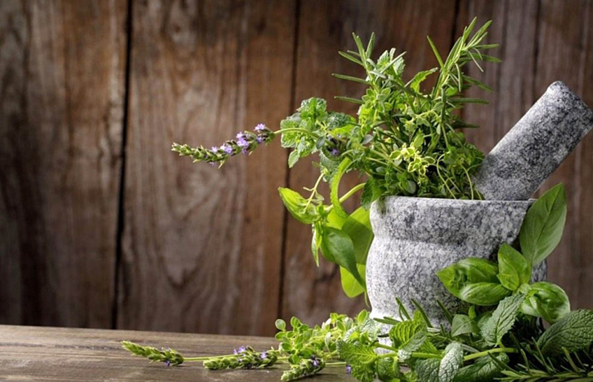 Більше трав, менше солі!