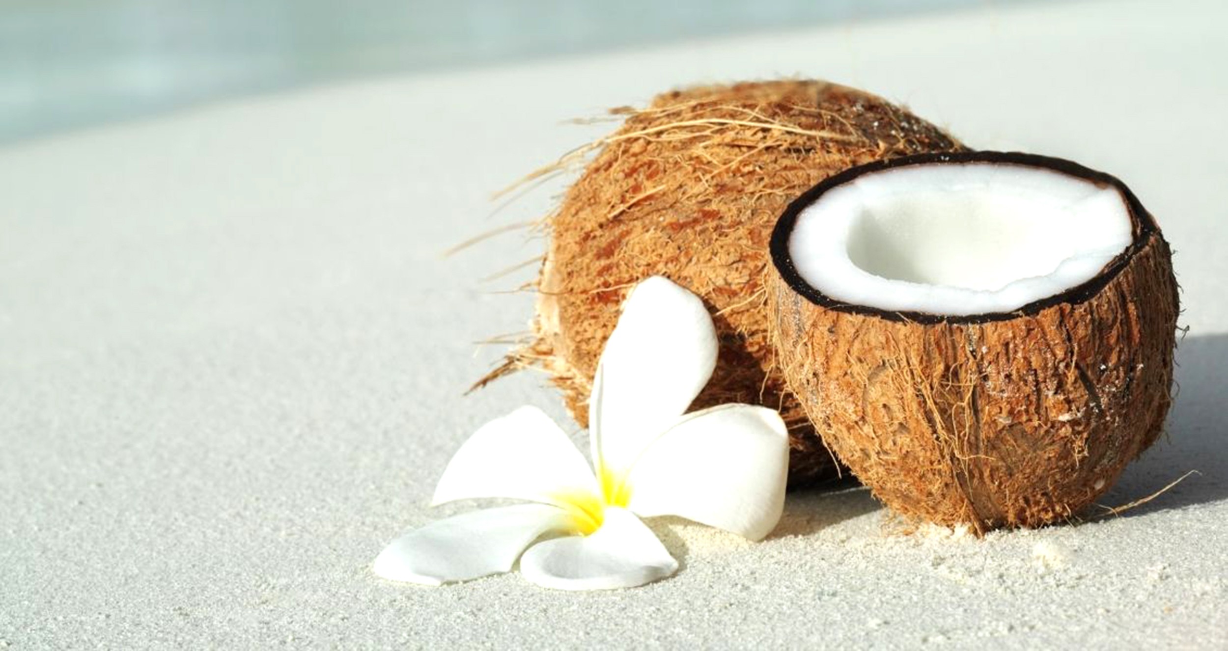 Кокос – тропічна смакота з купою бонусів для здоров’я