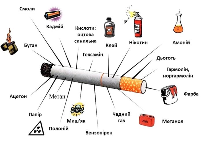 21_11_24_mizhnarodnyy_den_vidmovy_vid_palinnia2