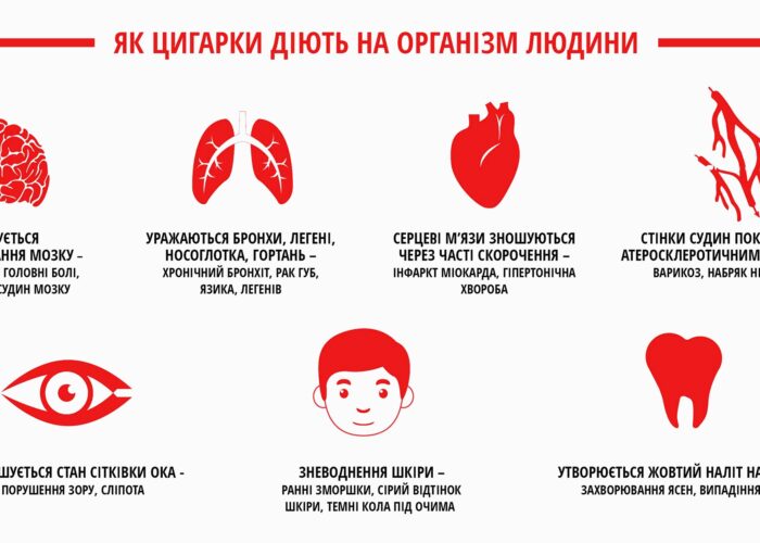 21_11_24_mizhnarodnyy_den_vidmovy_vid_palinnia3