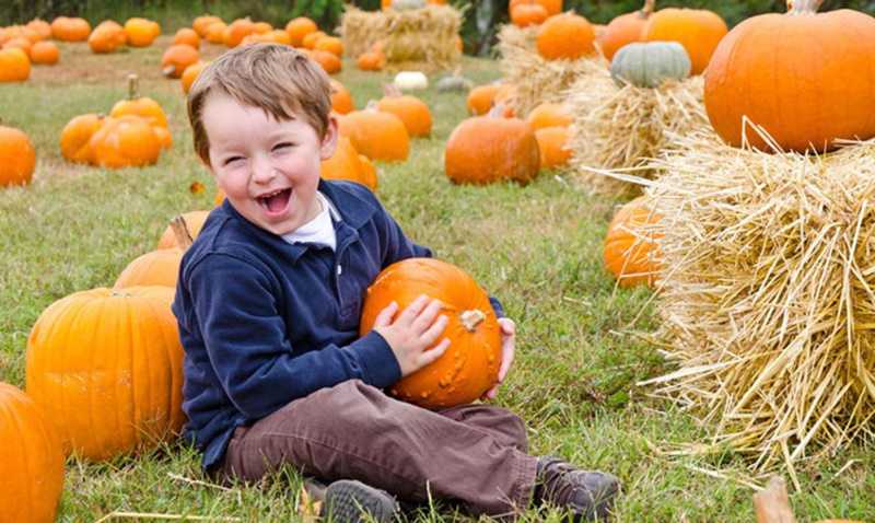 Хто їсть кашу гарбузову, буде сильним і здоровим 😉