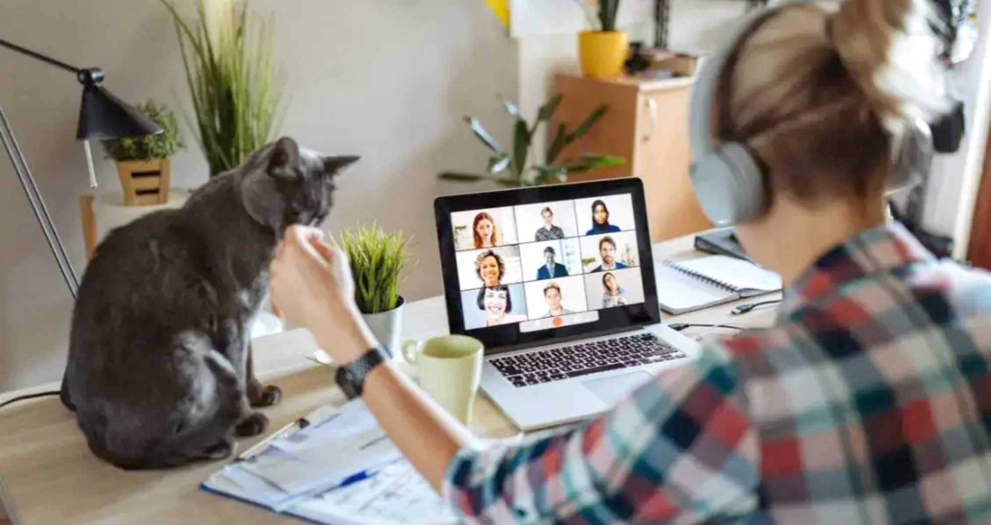 7 цінних порад для тих, хто працює віддалено