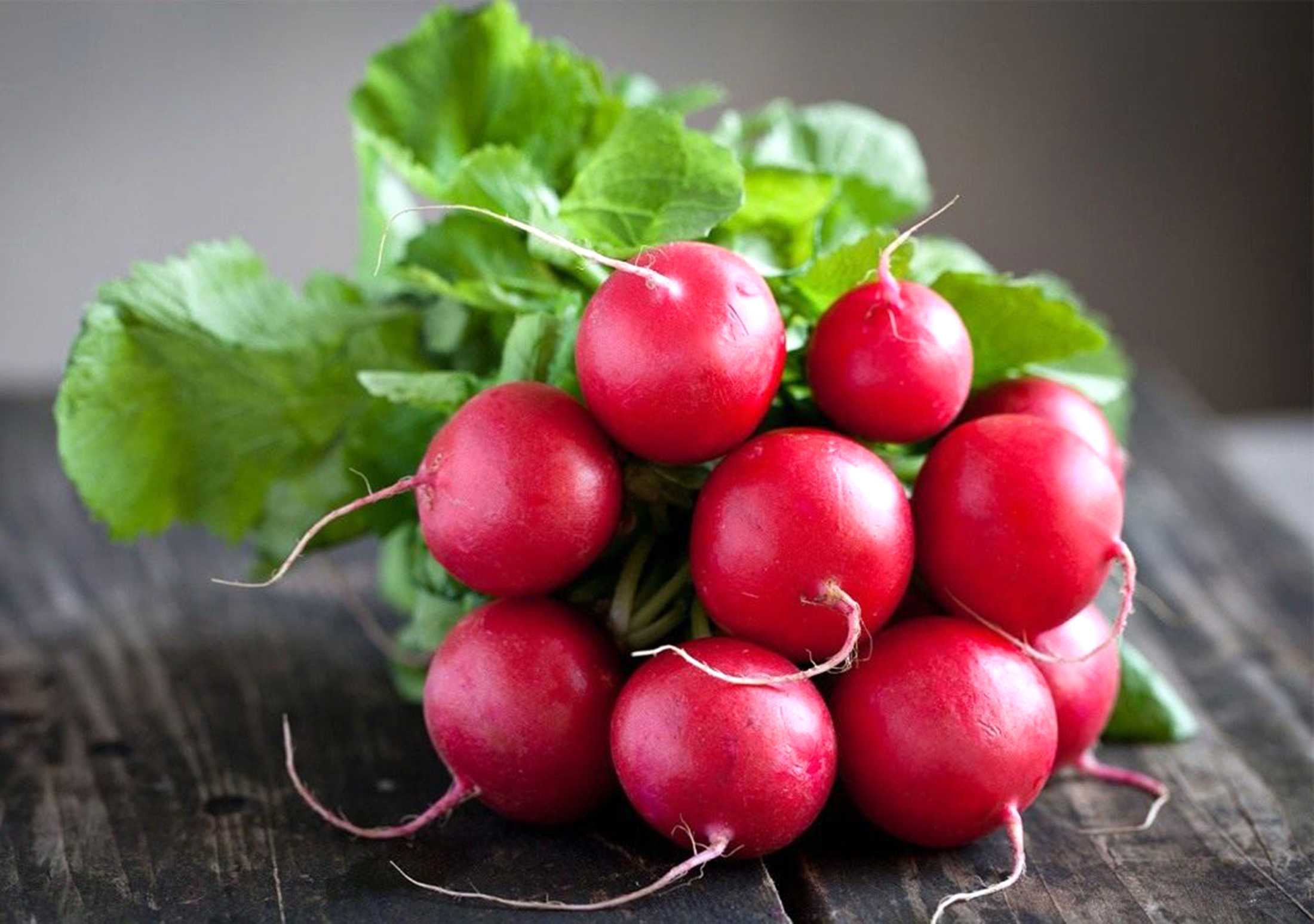 Редиска: весняний клондайк вітамінів