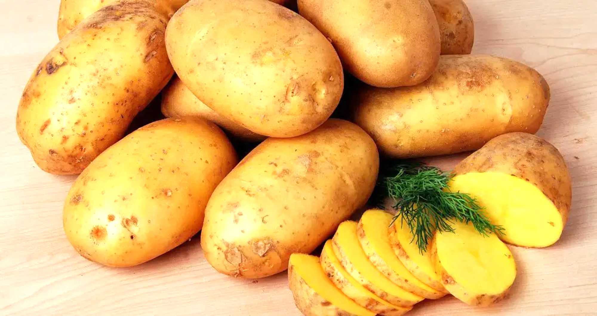 Картопля – другий хліб