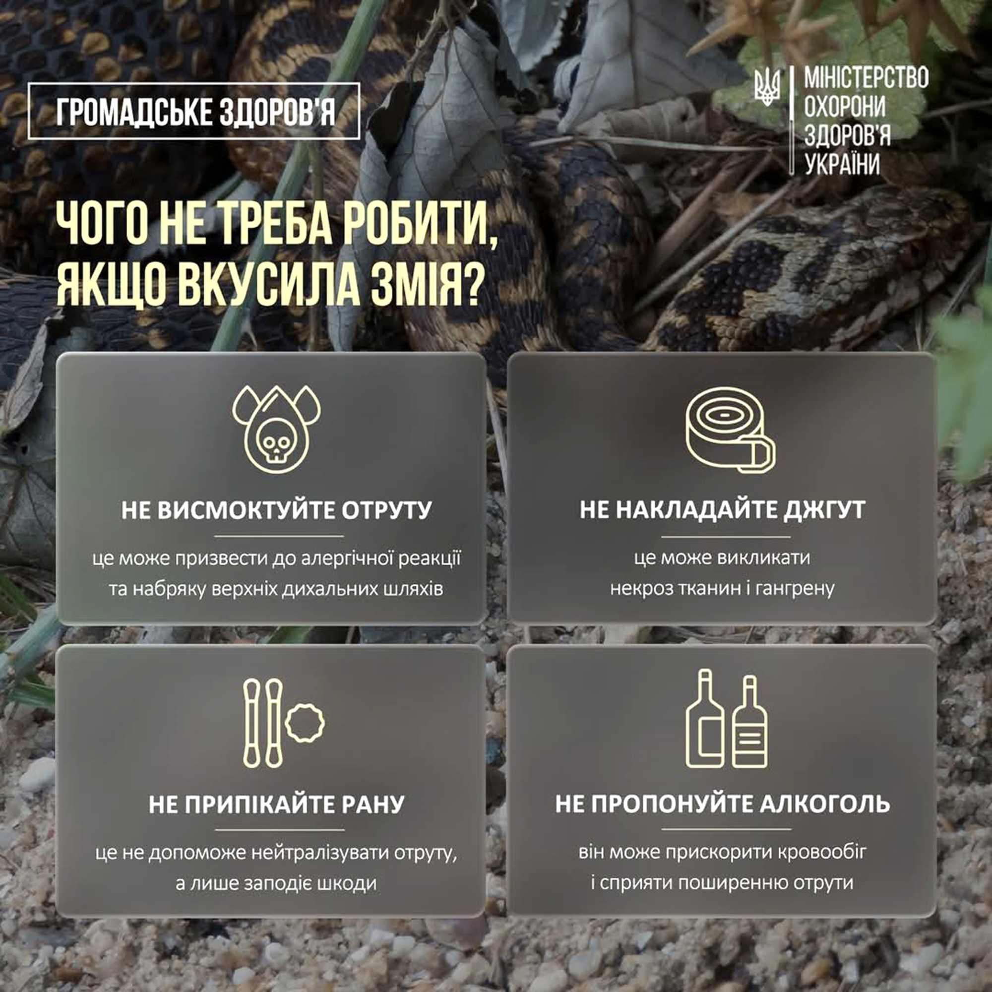 Сезон активності плазунів – у розпалі