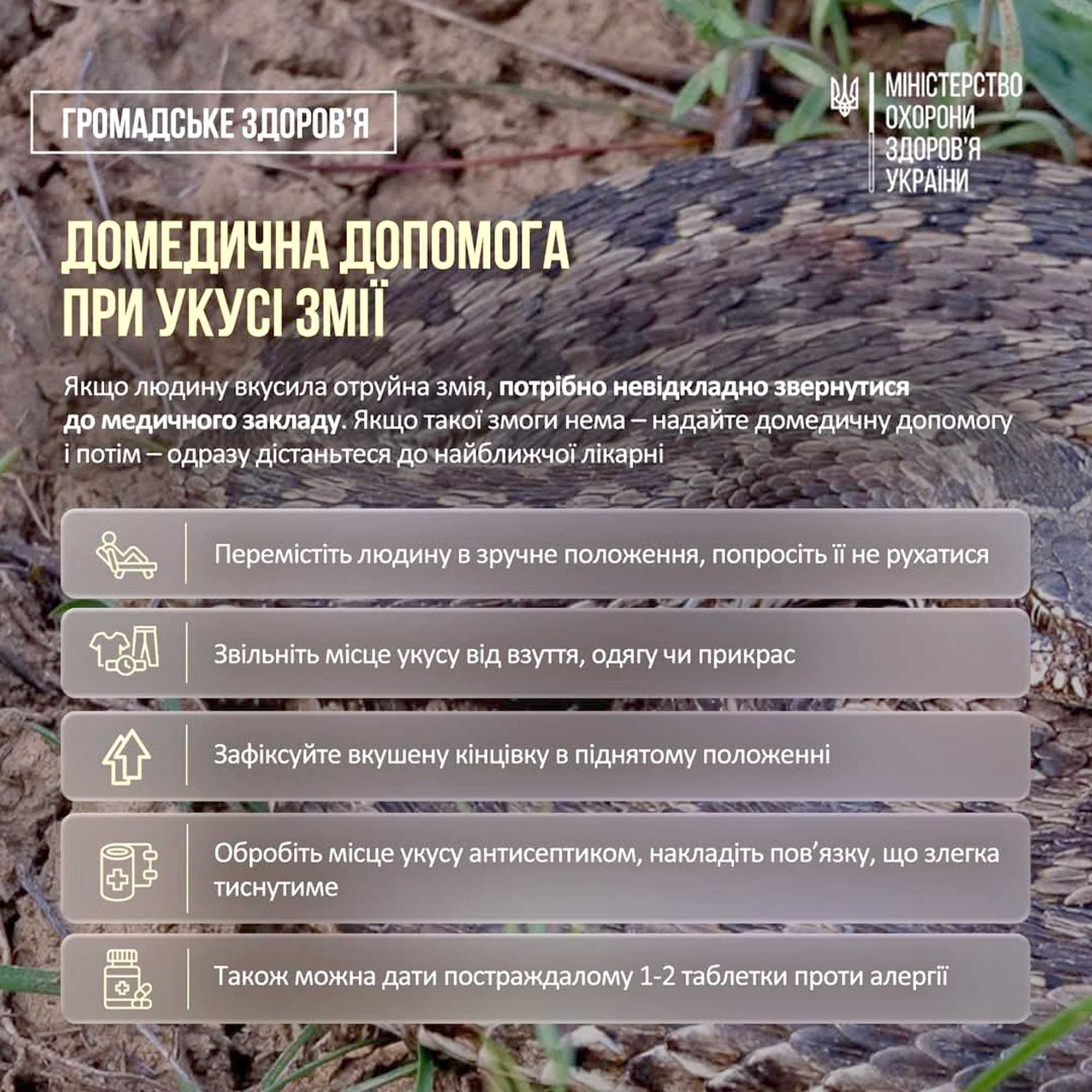 Сезон активності плазунів – у розпалі