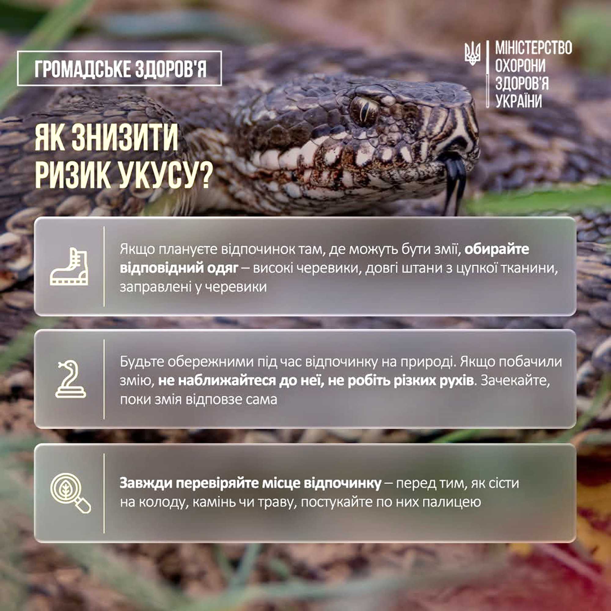 Сезон активності плазунів – у розпалі