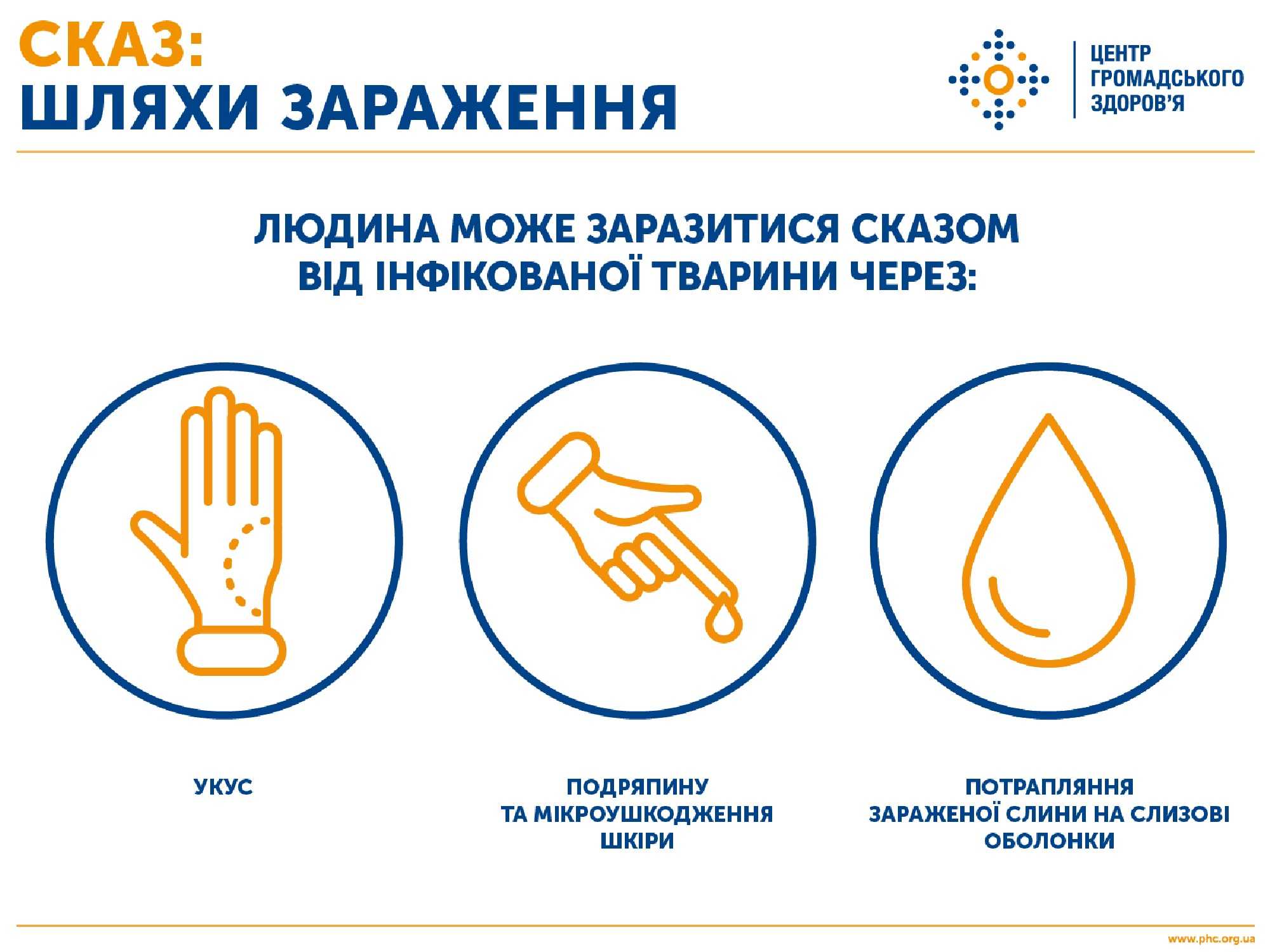 Сказ: в області зафіксовано вже 10 випадків зараження тварин
