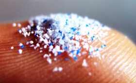 Мікропластик – це не лише про довкілля, а й здоров’я