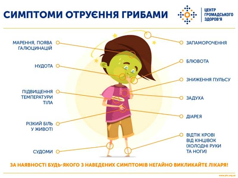 Збирання грибів: «полюйте» розважливо!