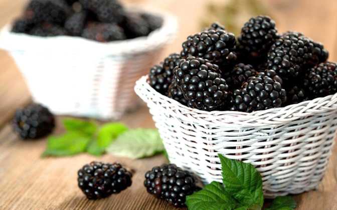 Ожина: і смакує, і лікує