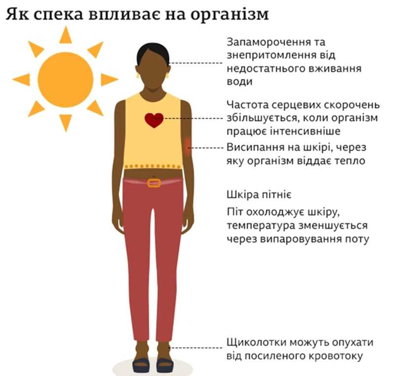 Спека повернулася: які ризики для здоров’я