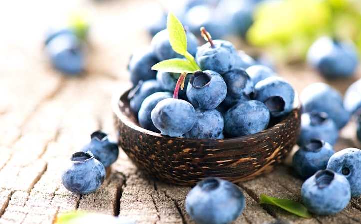 Лохина – ягода довголіття ( і не тільки )