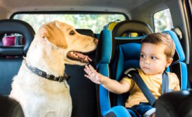 Спека  і авто : що варто знати?