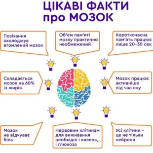 22_07_25_vsesv_den_mozku4