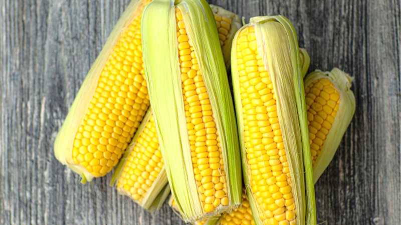 Кукурудза достигає. Не проґавте! 