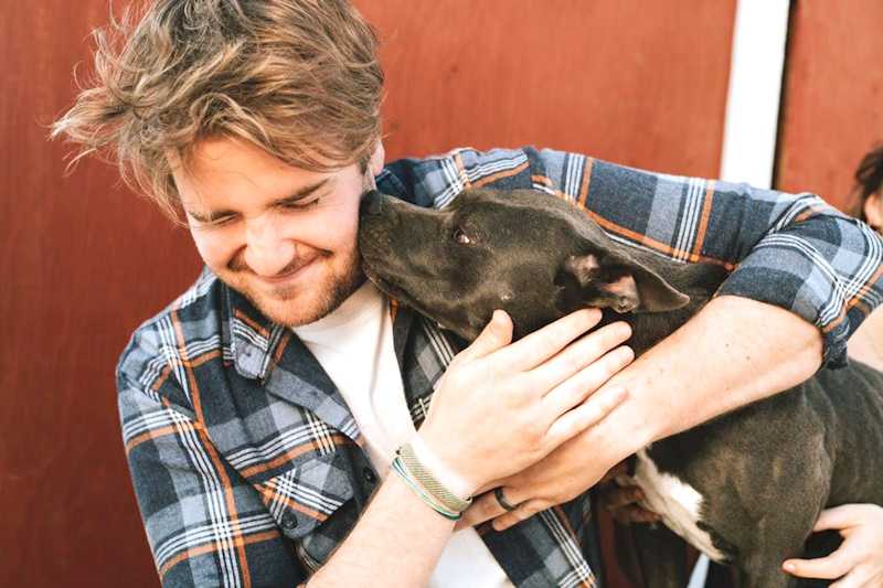 Коли у домі є собака🐕‍🦺 …