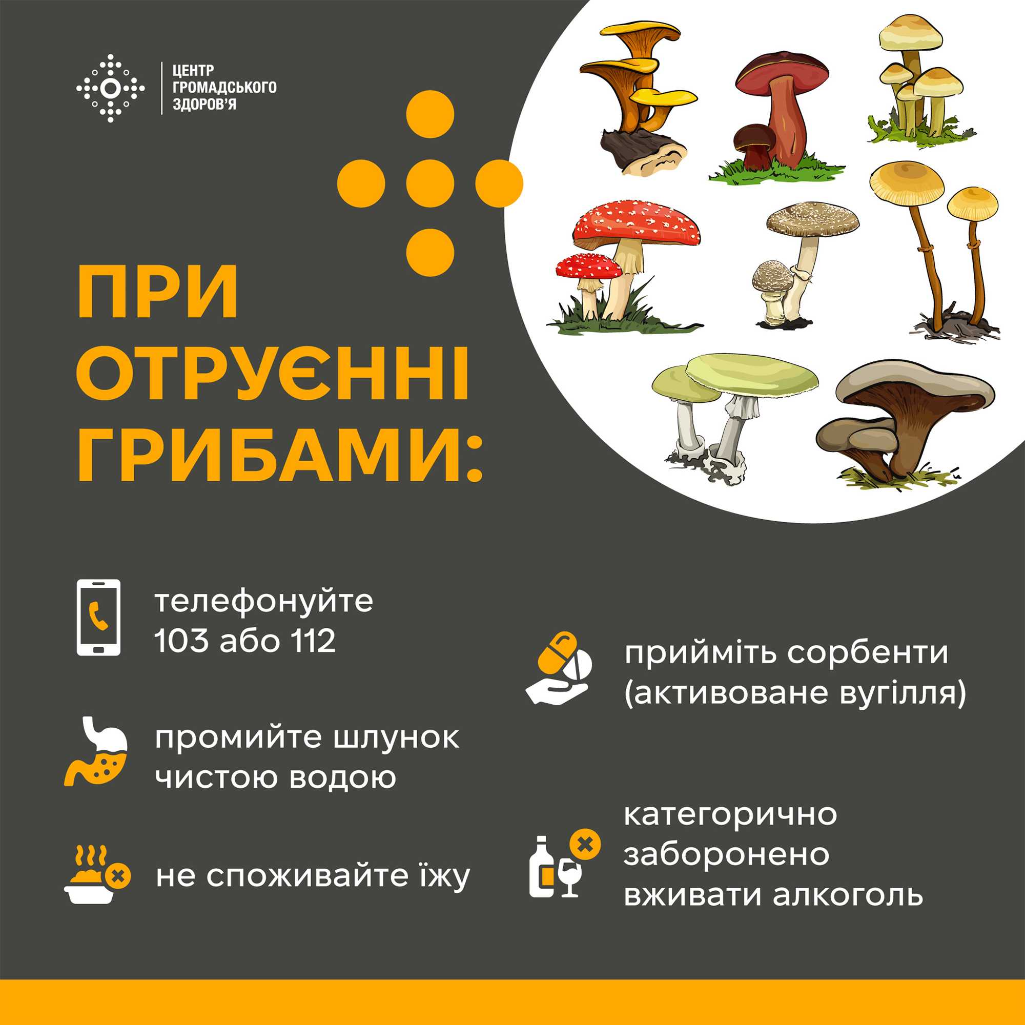 Гриби помилок не пробачають…