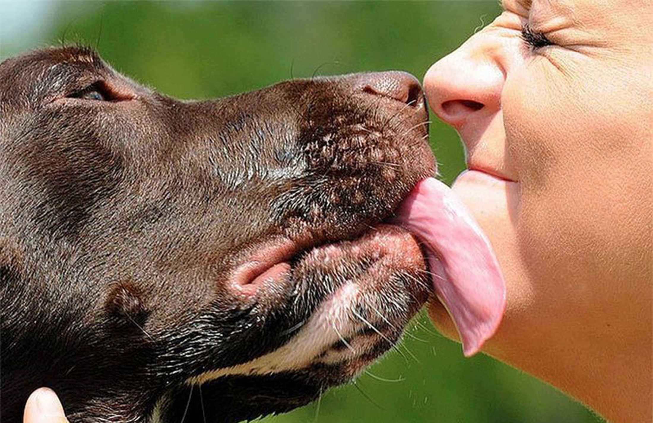 Ехінококоз у Сумській громаді: як убезпечитися