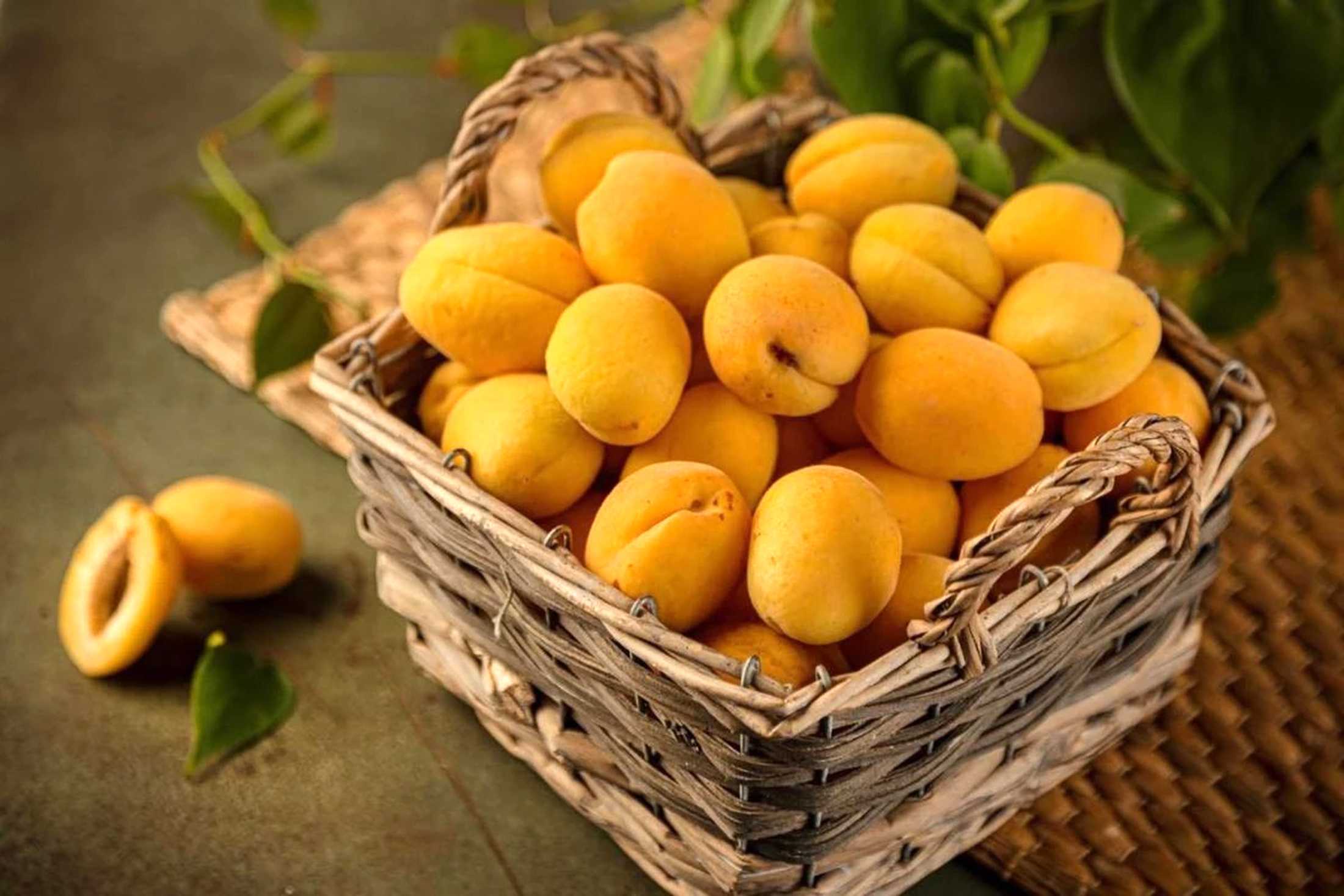 Абрикоси: зиск для здоров'я та перестороги
