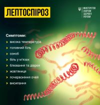 16_06_26_leptospiroz2