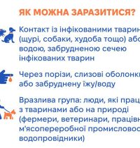 16_06_26_leptospiroz3