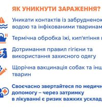 16_06_26_leptospiroz4