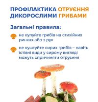 10_08_26_gribi2