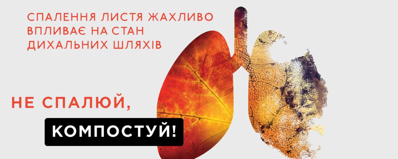 Монітор замість шкільної парти: як попіклуватися про здоров’я дітей