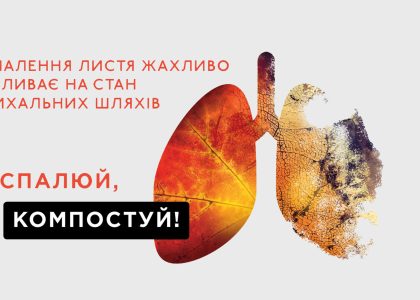 Монітор замість шкільної парти: як попіклуватися про здоров’я дітей