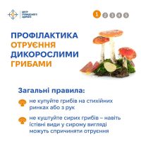 06_10_26_gribi_otruennya2