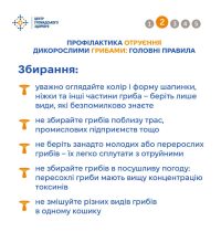 06_10_26_gribi_otruennya3