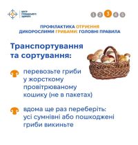 06_10_26_gribi_otruennya4