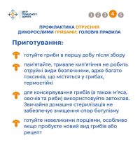 06_10_26_gribi_otruennya5