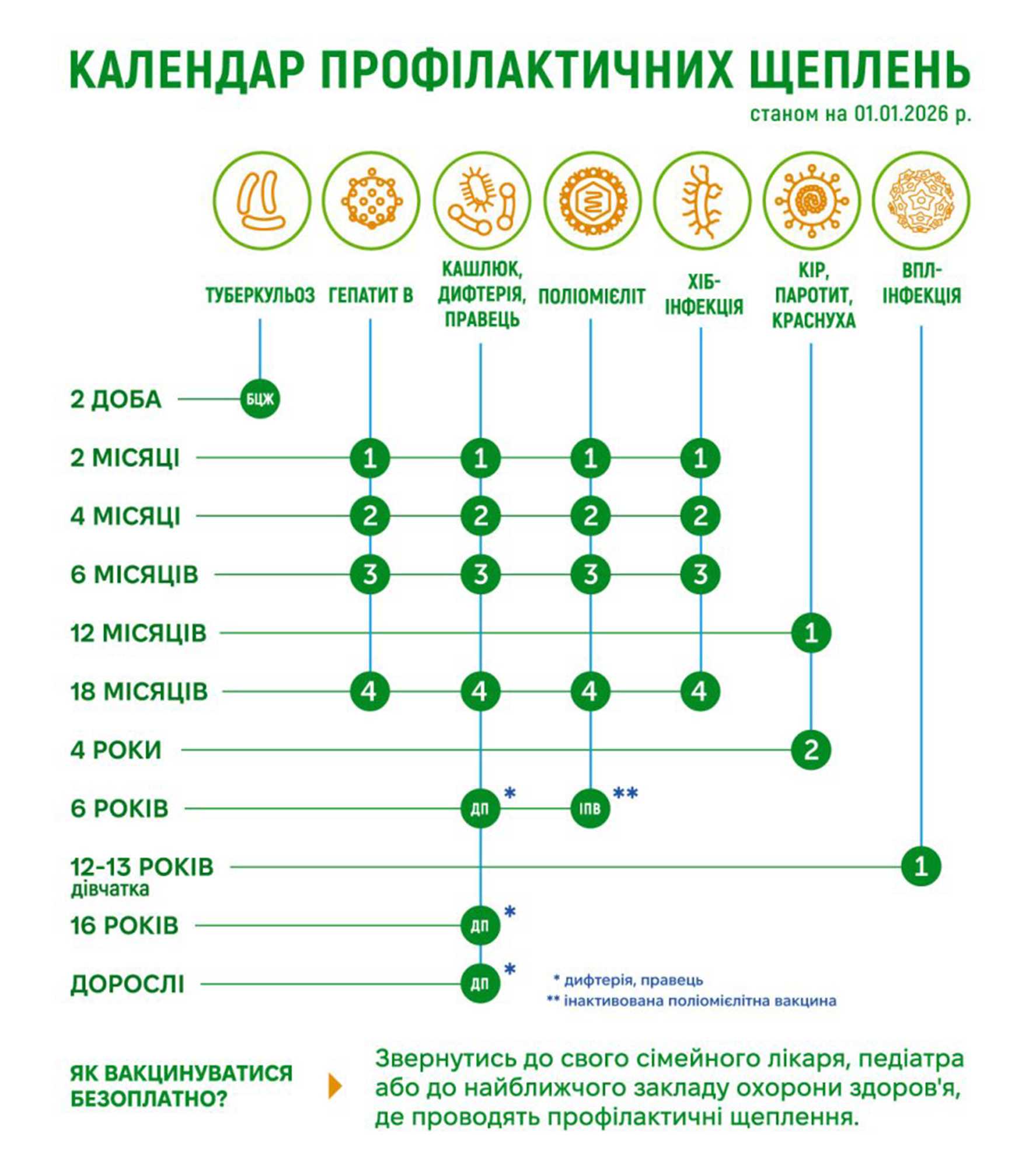 Щепити вчасно – супер, зробити це пізніше – теж норм, головне – не залишити малюка зовсім без захисту від інфекцій
